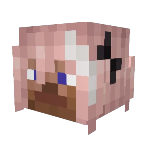 dyll_is_here Minecraft avatar head, 3D render