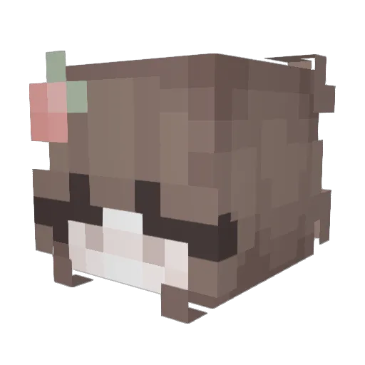 dynamicdragoncat Minecraft avatar head, 3D render