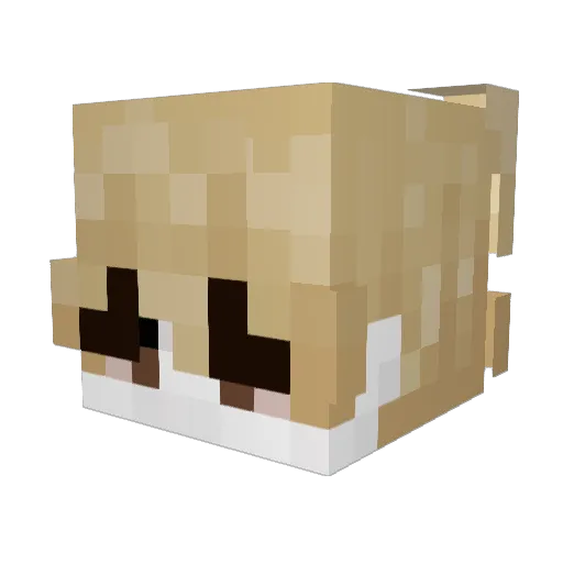 dyngbo Minecraft avatar head, 3D render