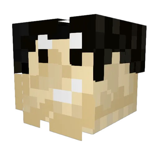 dynsty Minecraft avatar head, 3D render