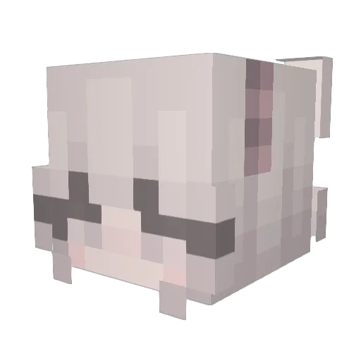dyo0 Minecraft avatar head, 3D render