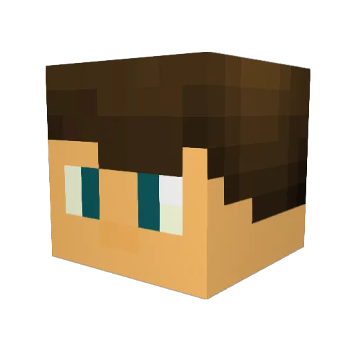 dyon3005 Minecraft avatar head, 3D render