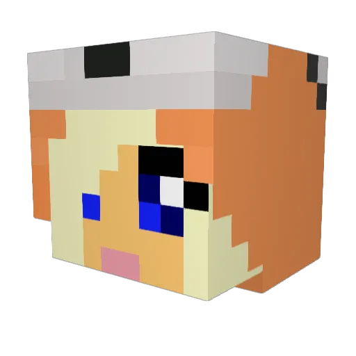 dyreelskeren Minecraft avatar head, 3D render