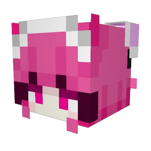 dyrox34 Minecraft avatar head, 3D render