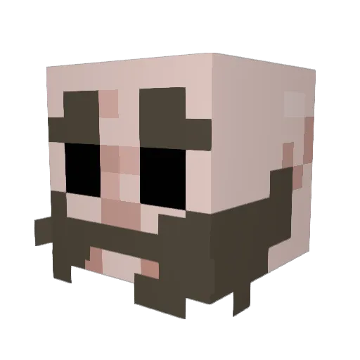 dysposin Minecraft avatar head, 3D render
