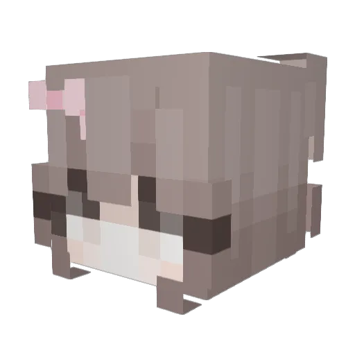 dyul Minecraft avatar head, 3D render