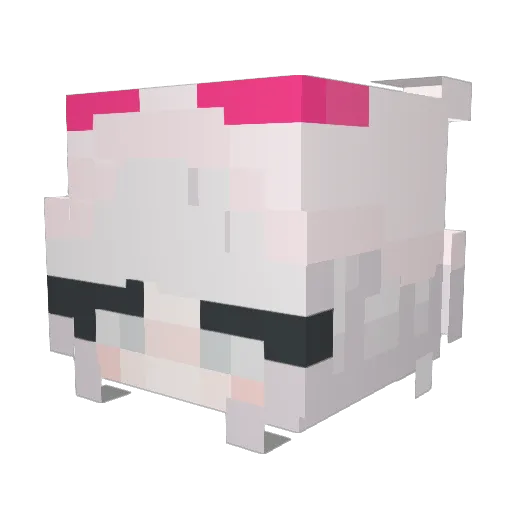 dyy24 Minecraft avatar head, 3D render