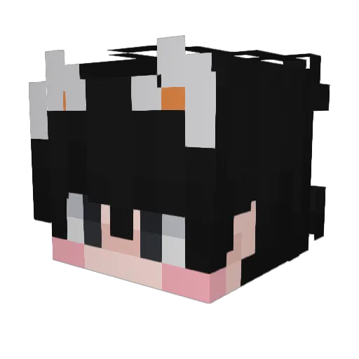 Minecraft-Avatar von dzbw: Kopf als 3D-Render