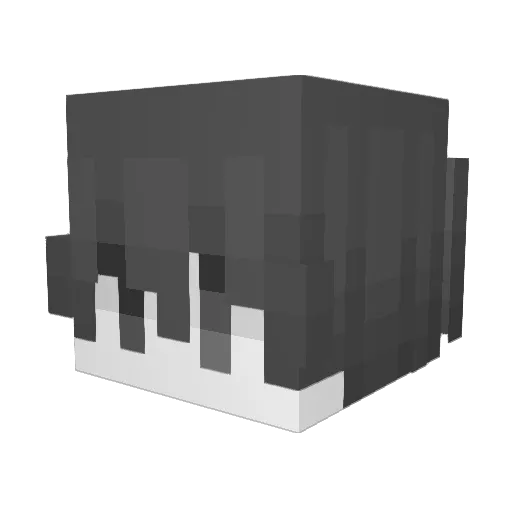dzejsaks Minecraft avatar head, 3D render