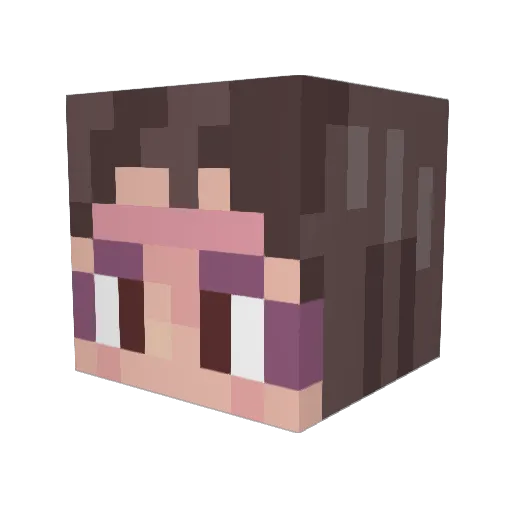 dzikiswier Minecraft avatar head, 3D render