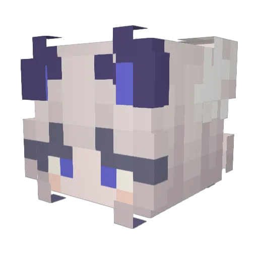 dziobakzenek Minecraft avatar head, 3D render