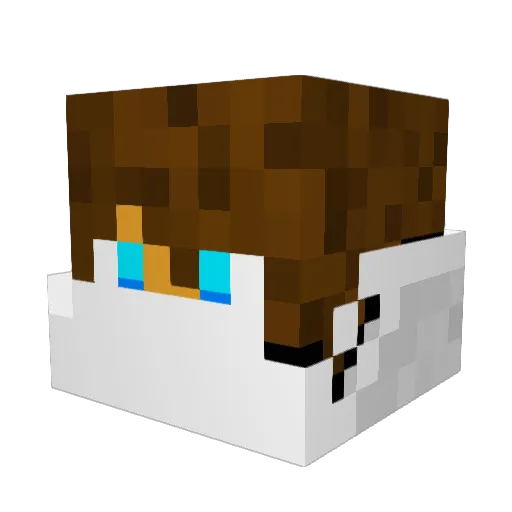 dziur4 Minecraft avatar head, 3D render