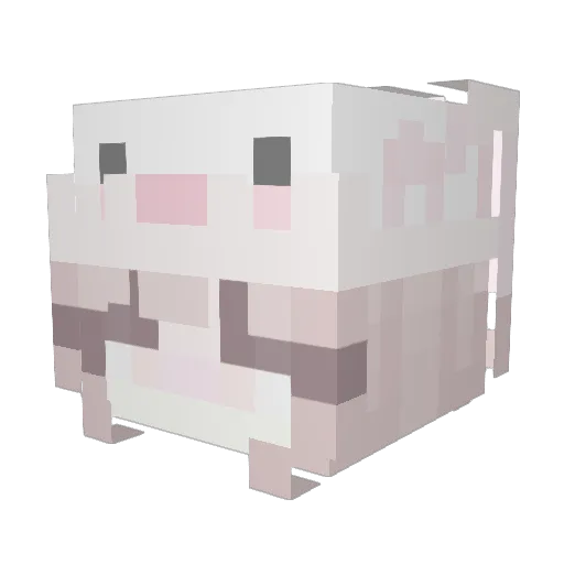 dznieie Minecraft avatar head, 3D render