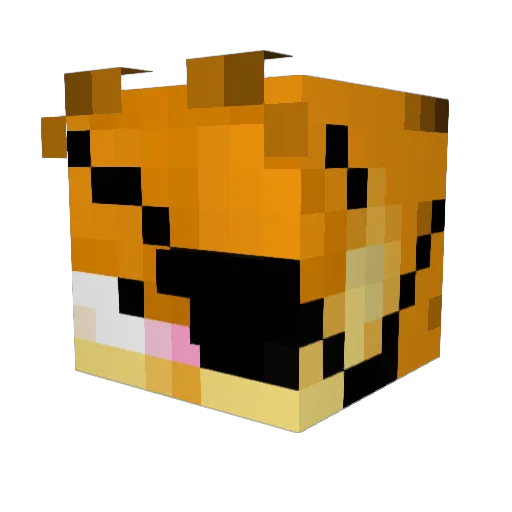 dzonlok69 Minecraft avatar head, 3D render