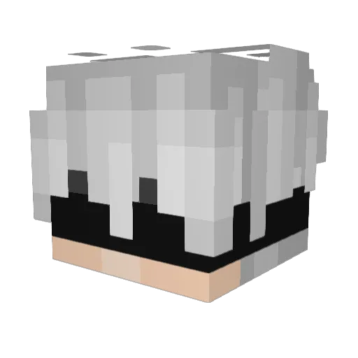 dzony3001 Minecraft avatar head, 3D render