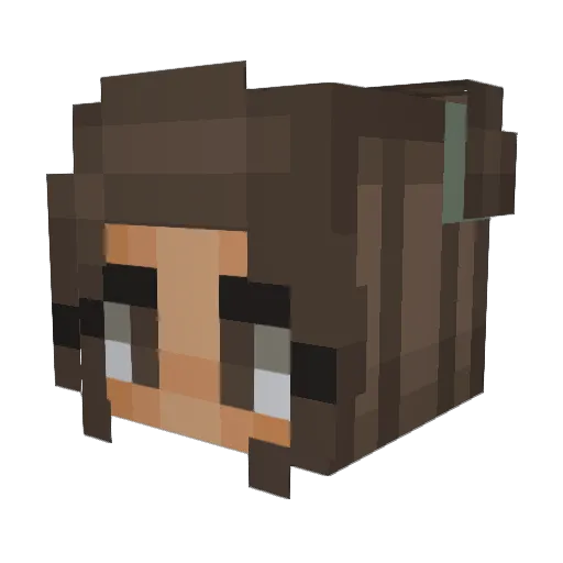 dzsezo Minecraft avatar head, 3D render