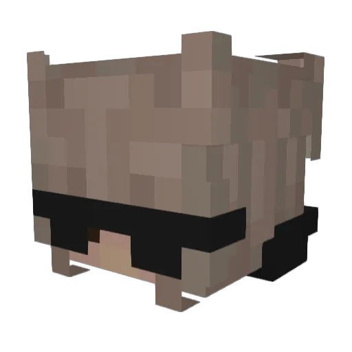 dzvlia Minecraft avatar head, 3D render
