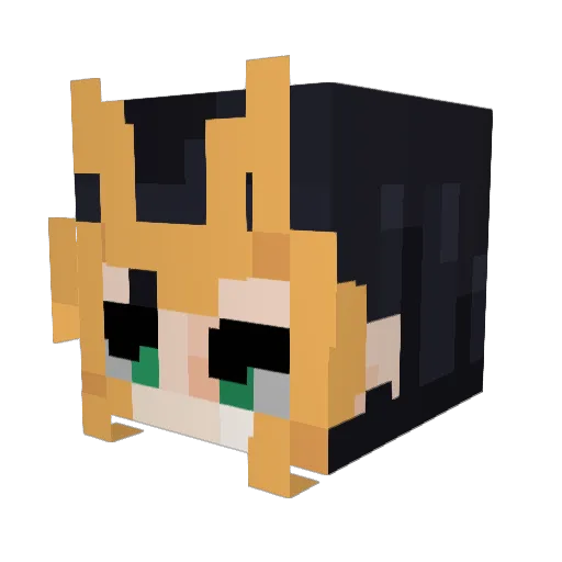 e11is_ Minecraft avatar head, 3D render