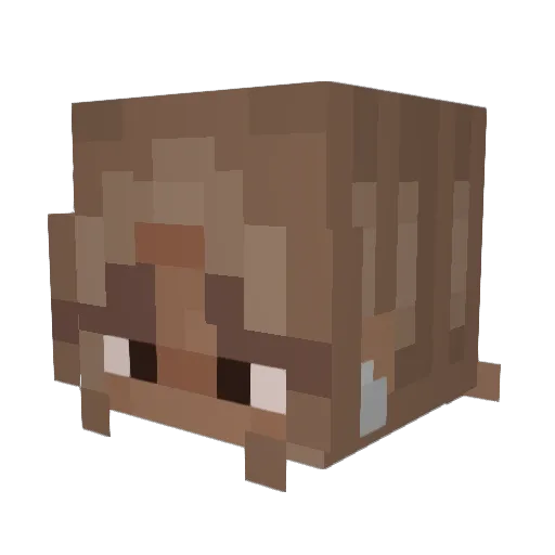 e1lie Minecraft avatar head, 3D render