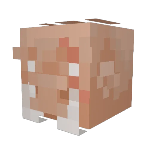 e1rly Minecraft avatar head, 3D render