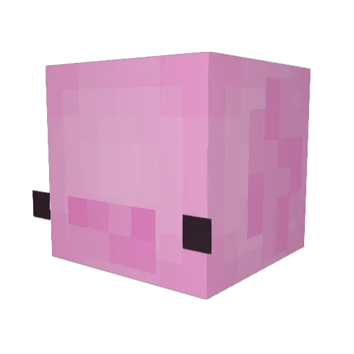 e3m1ly Minecraft avatar head, 3D render