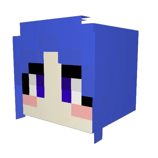 e41_ Minecraft avatar head, 3D render