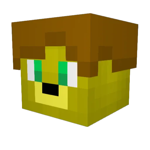 e94jd Minecraft avatar head, 3D render