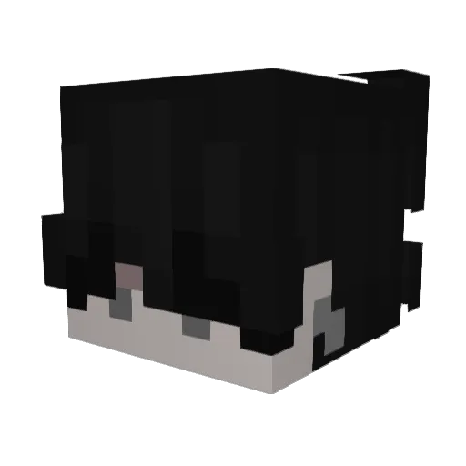 eCatxxxxx Minecraft avatar head, 3D render