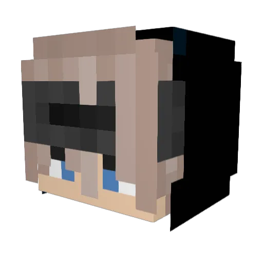 eCryptoStacks Minecraft avatar head, 3D render