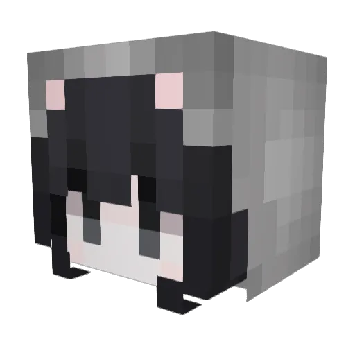 eKittenDeNylh Minecraft avatar head, 3D render