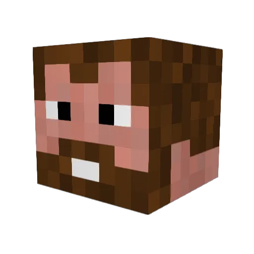 eLappa Minecraft avatar head, 3D render