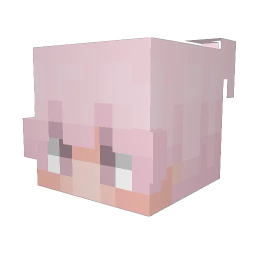 eLcompletoxd Minecraft avatar head, 3D render