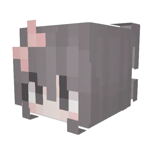 eN5CC Minecraft avatar head, 3D render