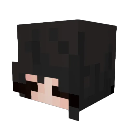 eNemX1843 Minecraft avatar head, 3D render