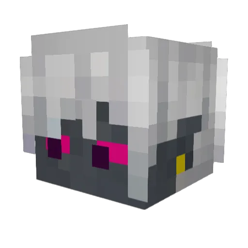eR4Z13L Minecraft avatar head, 3D render