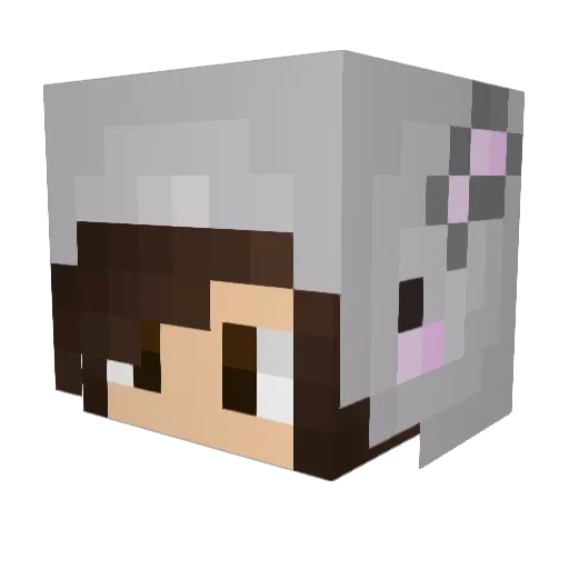 eRlower Minecraft avatar head, 3D render