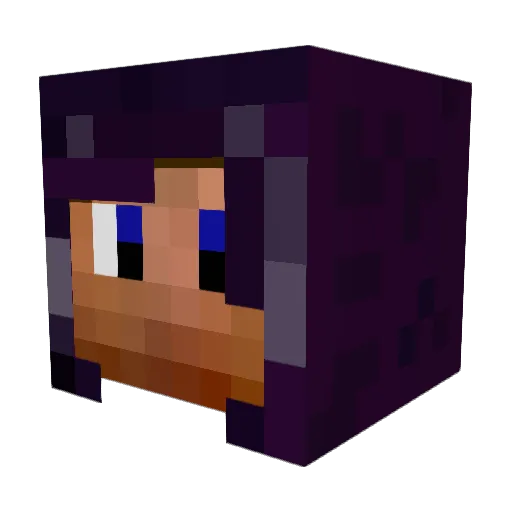 eSn1x Minecraft avatar head, 3D render