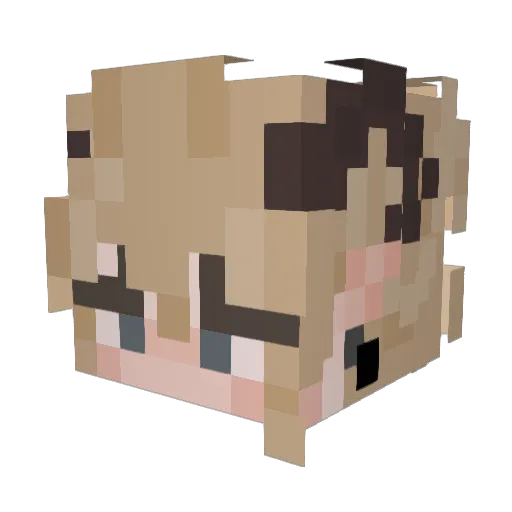 eSonik27 Minecraft avatar head, 3D render