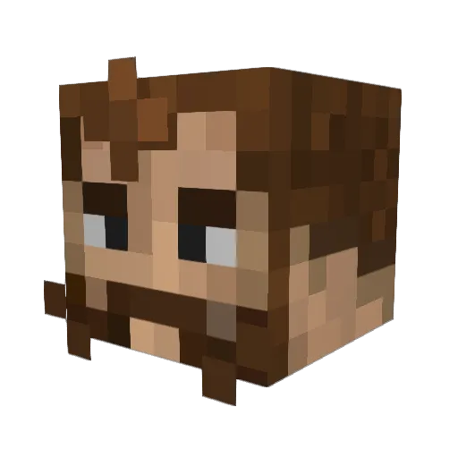 eViLe_eAgLe Minecraft avatar head, 3D render
