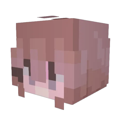 eWalls Minecraft avatar head, 3D render
