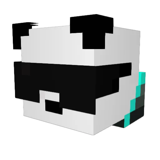 eXotic_Nation Minecraft avatar head, 3D render