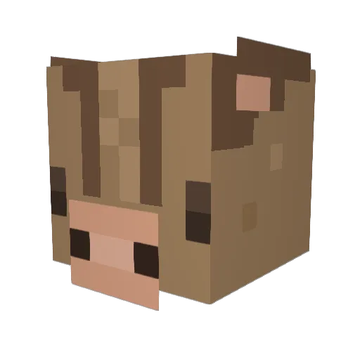 eXq_Andy Minecraft avatar head, 3D render