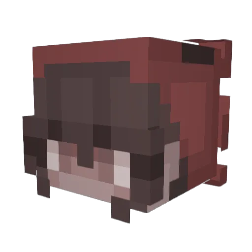 e_dawg905 Minecraft avatar head, 3D render