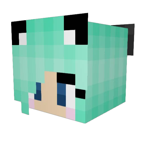 e_kitty_kitty Minecraft avatar head, 3D render