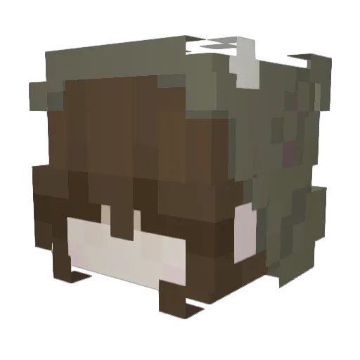 e_sally Minecraft avatar head, 3D render