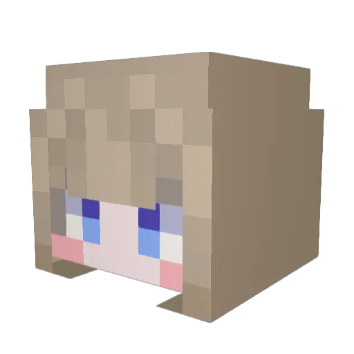 each_S2 Minecraft avatar head, 3D render