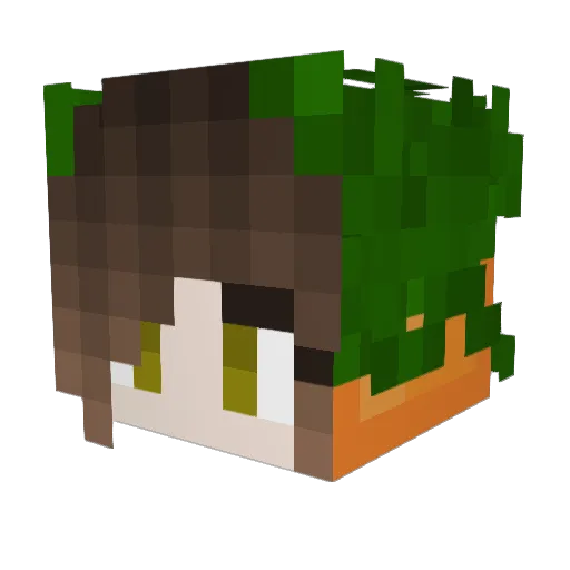 eagercarrot1261 Minecraft avatar head, 3D render