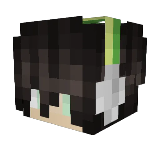 eagle0100 Minecraft avatar head, 3D render
