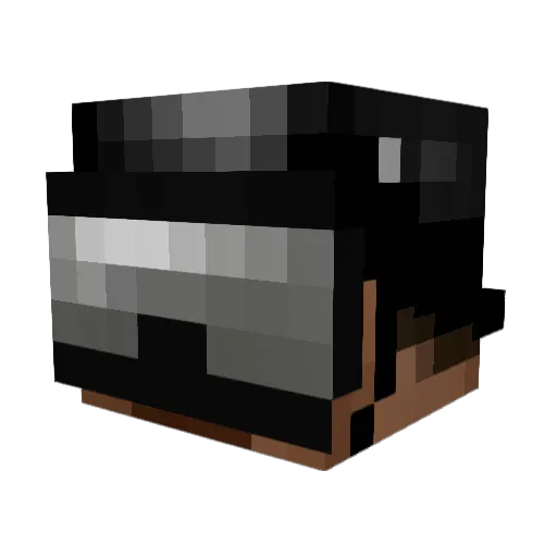 eagle448 Minecraft avatar head, 3D render