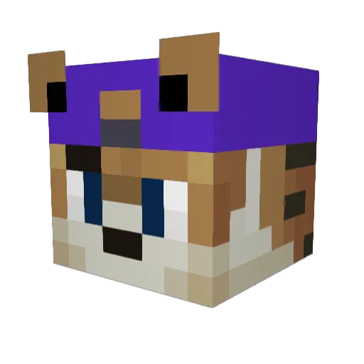 eagle_eye19191 Minecraft avatar head, 3D render